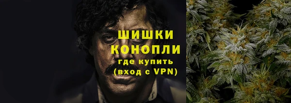 прущие грибы Надым