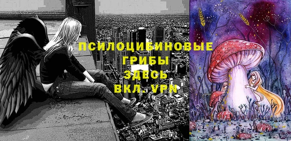 МДПВ Белокуриха