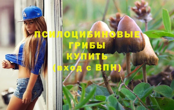 МДПВ Белокуриха